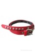 Kaizen Women Casual Multicolor Artificial Leather Belt(Multicolor)